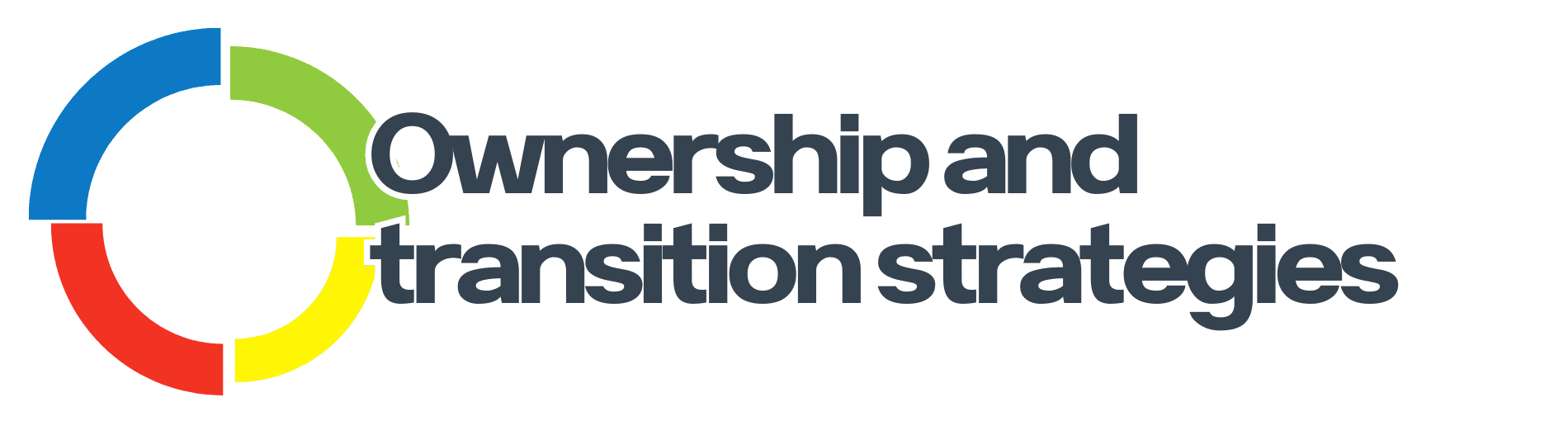 Ownership and transition strategies icon Fusion CPA